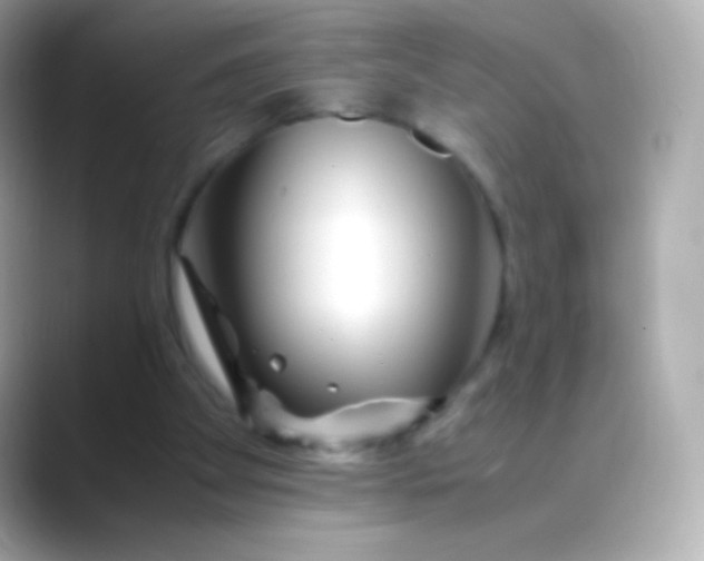 X0000088460105200706051331