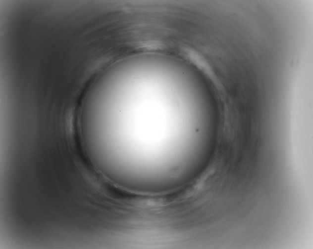 X0000088460106200706051331