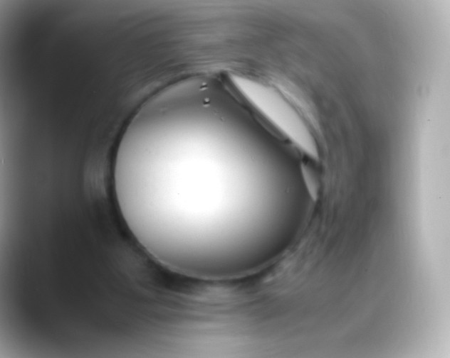 X0000088460107200706051331