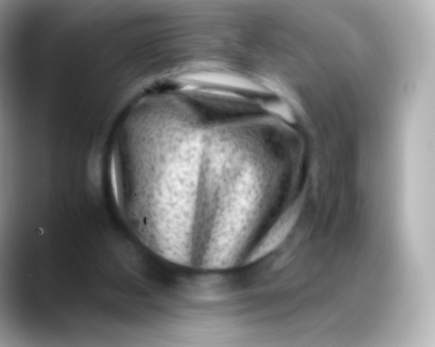 X0000088460108200706051331