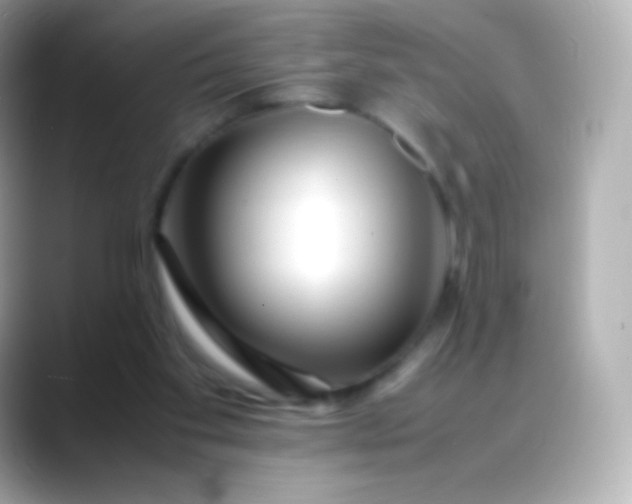 X0000088460109200706051331