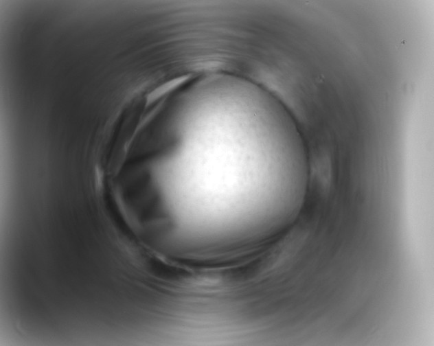 X0000088460110200706051331