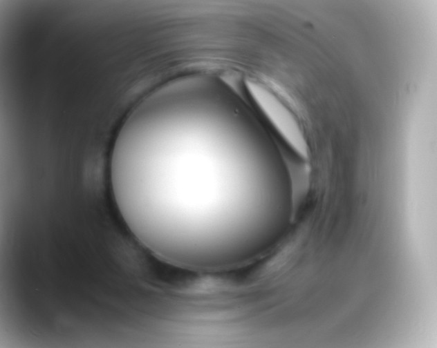 X0000088460111200706051331