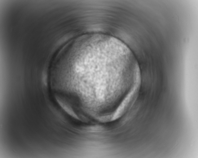 X0000088460112200706051331