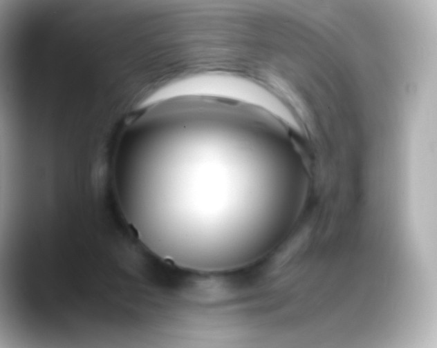 X0000088460113200706051331