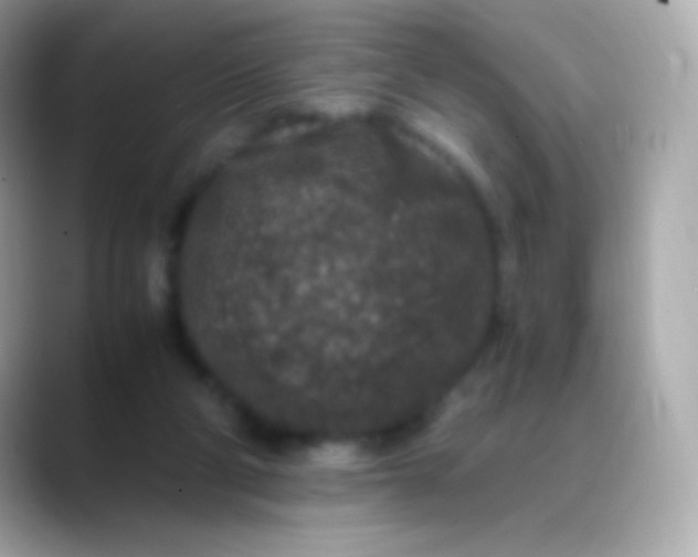 X0000088460114200706051331