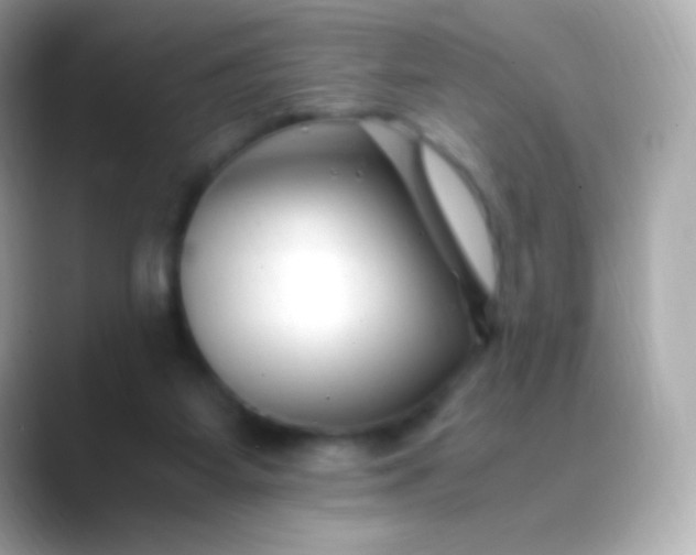 X0000088460115200706051331