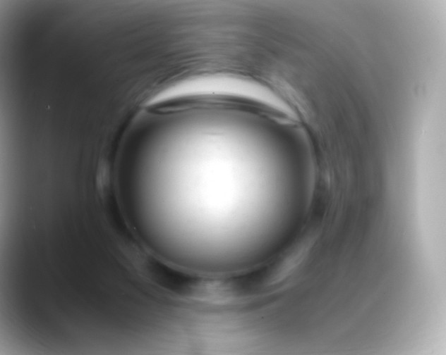 X0000088460117200706051331