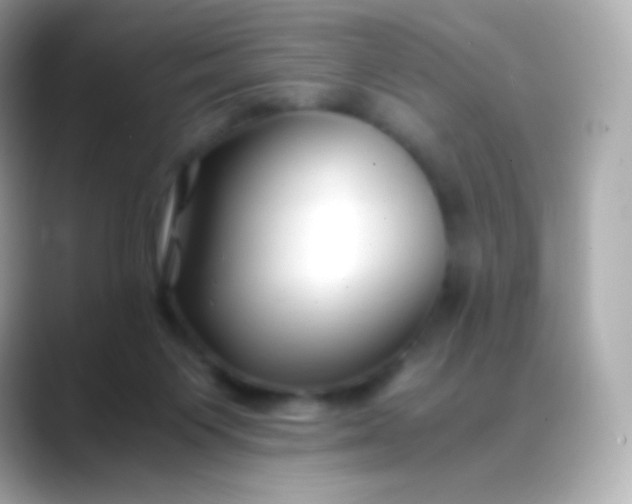 X0000088460119200706051331