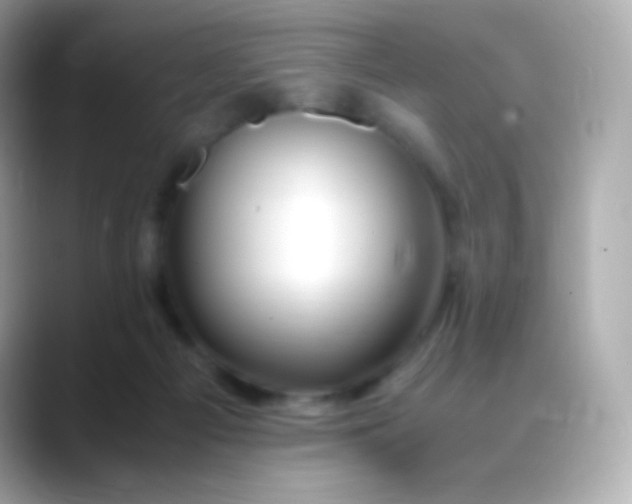 X0000088460121200706051331