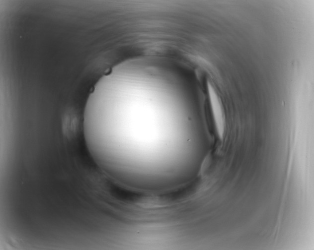 X0000088460123200706051331