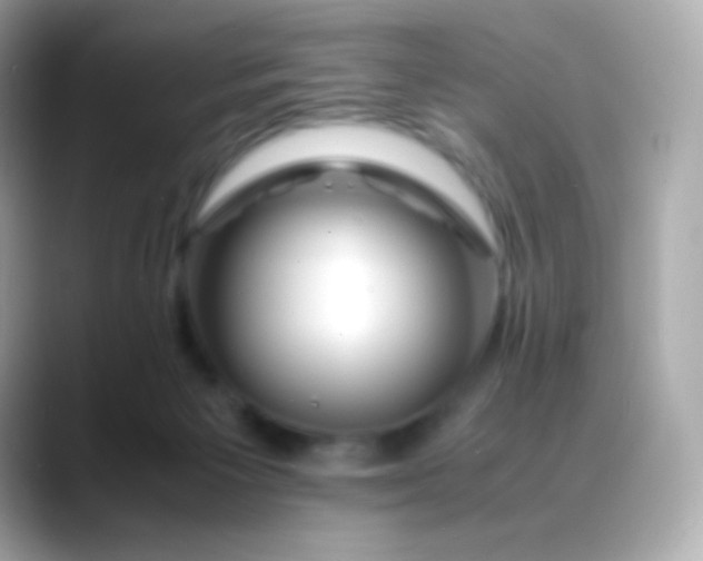 X0000088460125200706051331