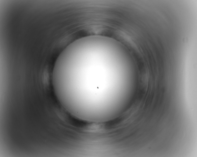 X0000088460126200706051331