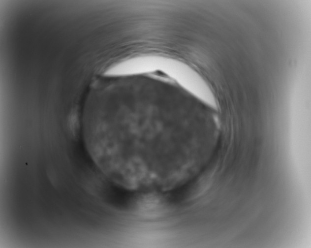 X0000088460127200706051331