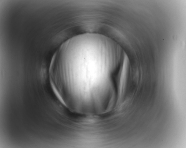 X0000088460128200706051331