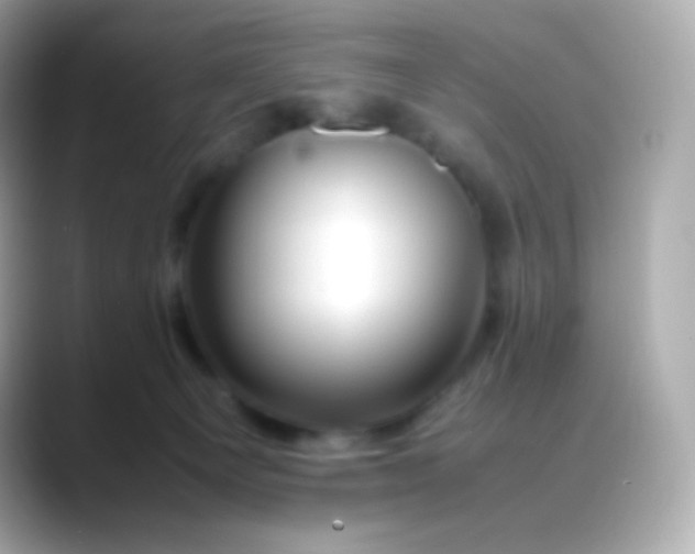 X0000088460129200706051331