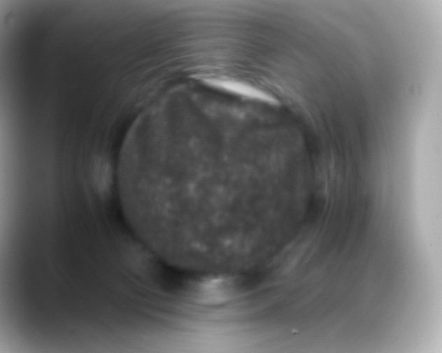 X0000088460130200706051331