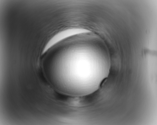 X0000088460131200706051331