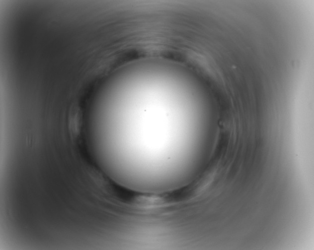 X0000088460133200706051331