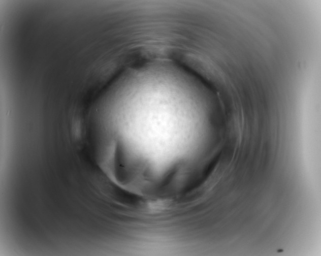 X0000088460134200706051331