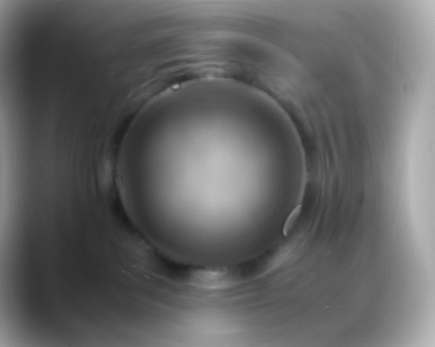 X0000088460139200706051331