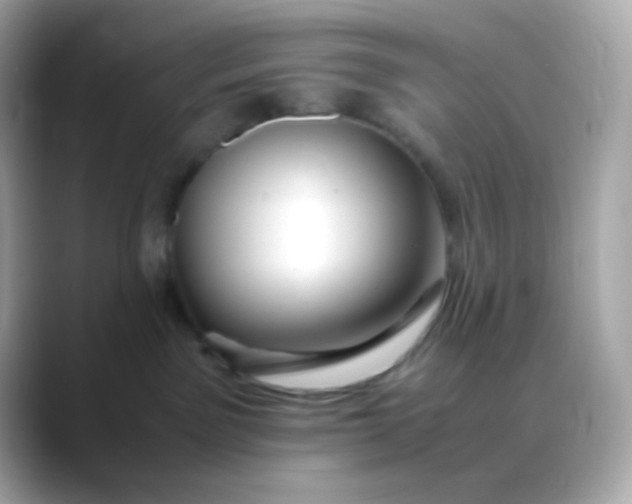 X0000088460141200706051331