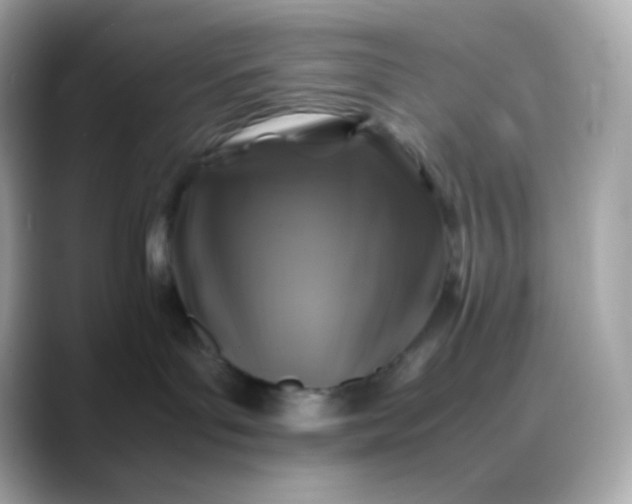 X0000088460143200706051331