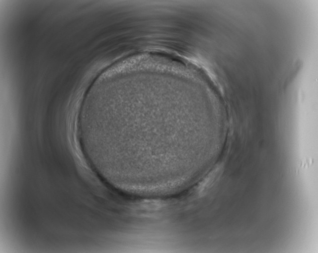 X0000088460145200706051330