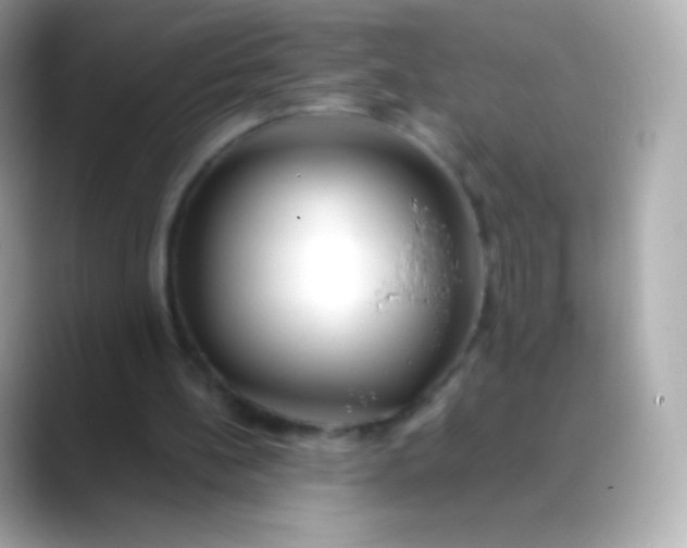 X0000088460148200706051330