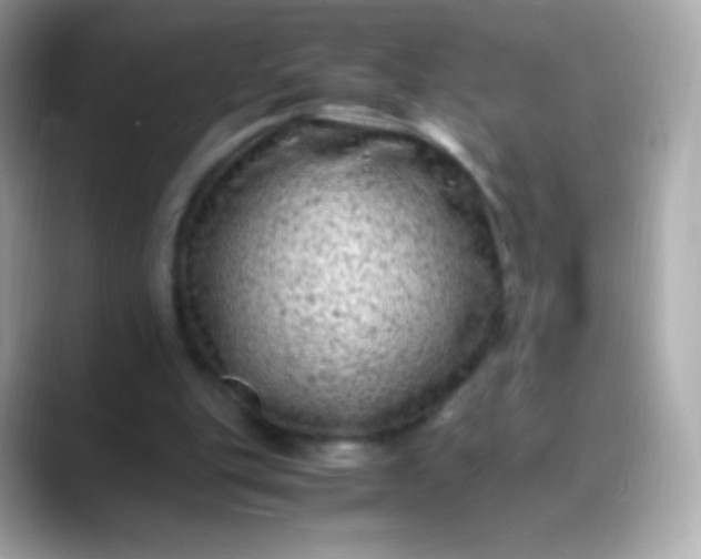 X0000088460151200706051330