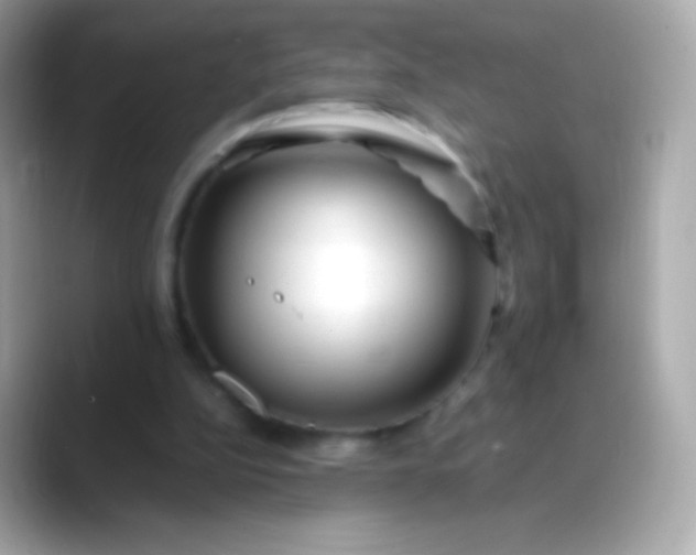 X0000088460152200706051330