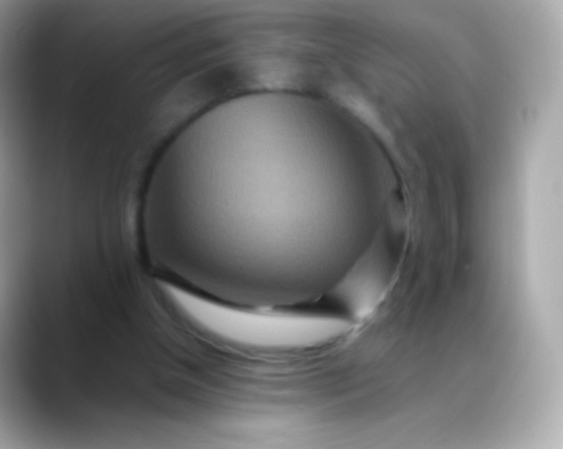 X0000088460154200706051330