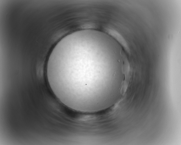 X0000088460155200706051330