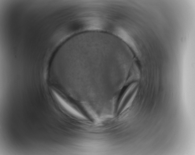 X0000088460156200706051330