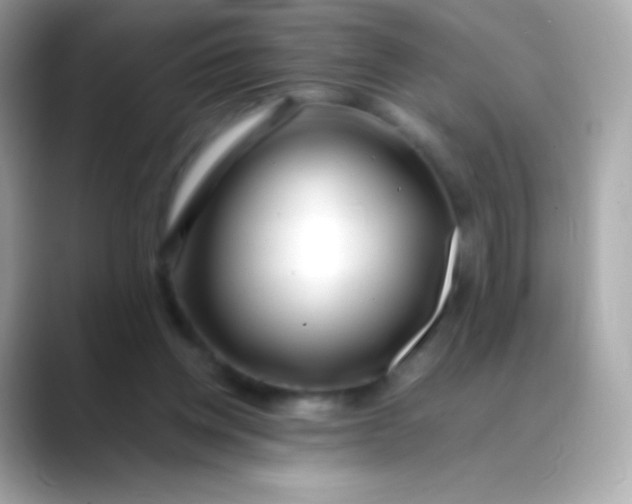 X0000088460158200706051330