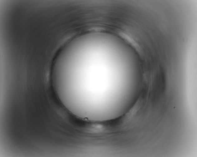 X0000088460159200706051330