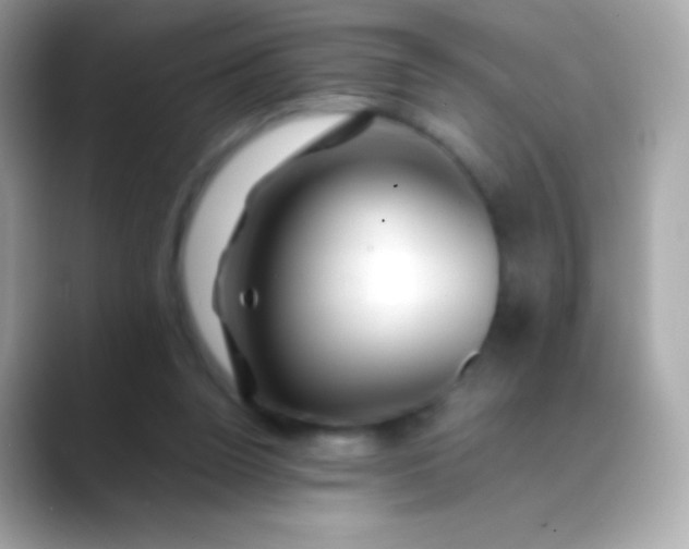 X0000088460160200706051330