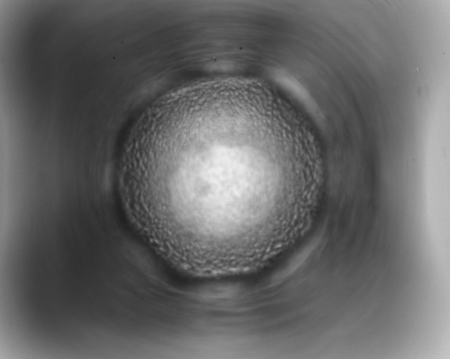 X0000088460161200706051330