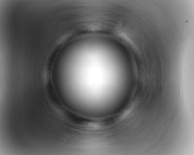 X0000088460164200706051330