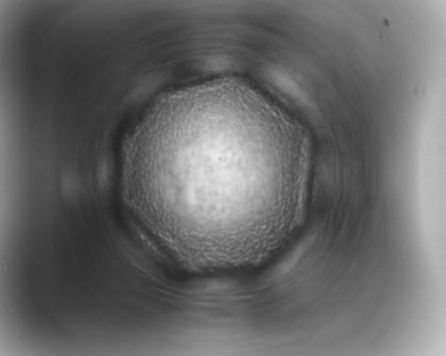 X0000088460165200706051330