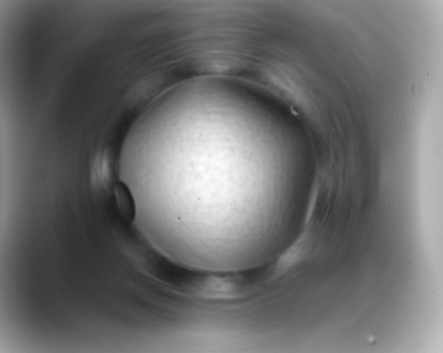 X0000088460166200706051330