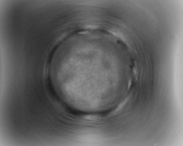 X0000088460168200706051330