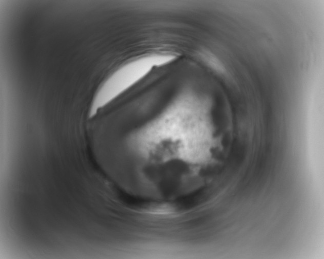 X0000088460169200706051330