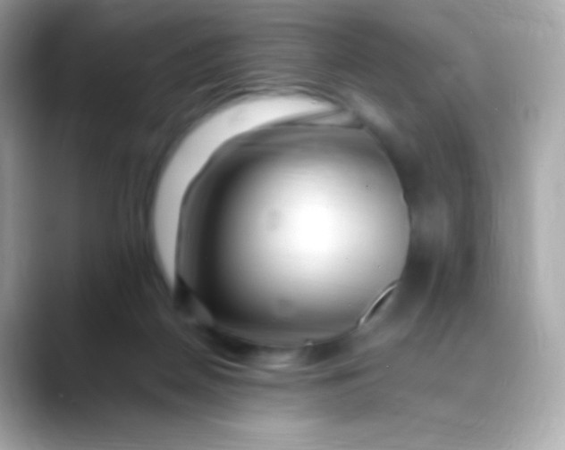 X0000088460170200706051331