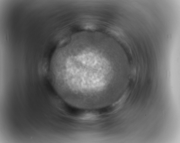 X0000088460175200706051331