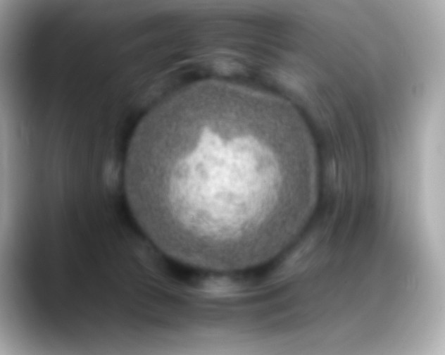 X0000088460177200706051331