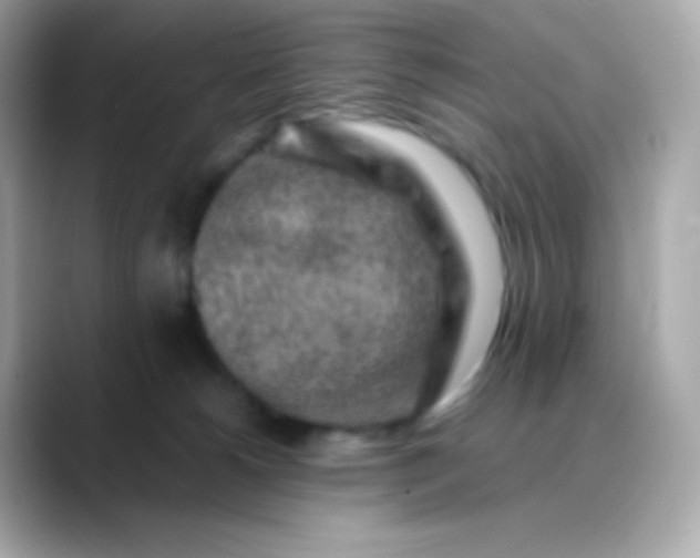 X0000088460180200706051331