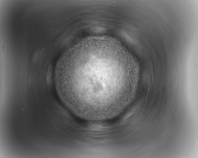 X0000088460181200706051331