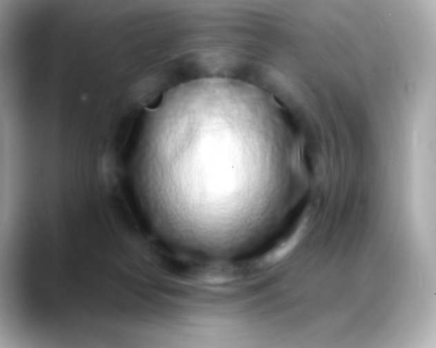 X0000088460182200706051331