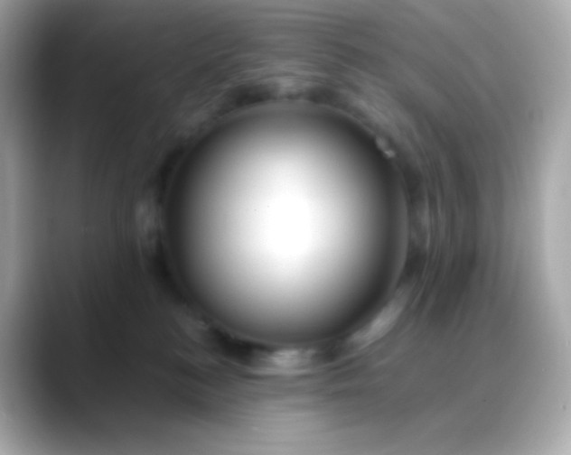 X0000088460184200706051331